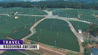 Japan Travel: Awesome Kagoshima - 鹿児島