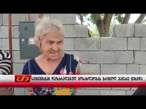 სეტყვისგან დაზარალებულ მოსახლეობას გრიგოლ ვაშაძე შეხვდა