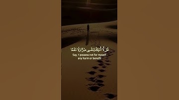 تلاوه خاشعه للشيخ عبد الرحمن مسعد استمع
