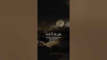 اكتب شيء تؤجر عليه 😴💚 قران كريم | ياسر الدوسري
