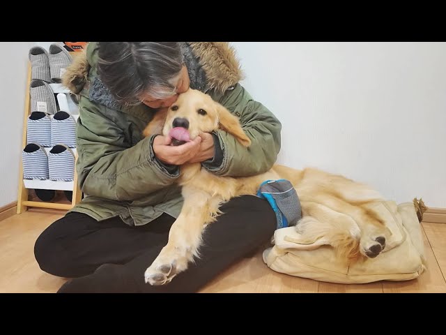 Leaving for the Rainbow Bridge. Thank you. Until we meet again