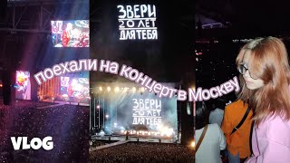 Концерт Звери 2022 | Vlog