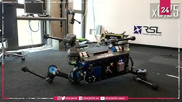 Robotic dog uses AI to learn new tricks