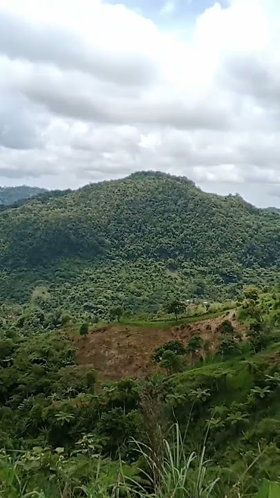 Lupad na! #travel #cebu #subscribe #shortvideo #tv #viral #1million #youtube