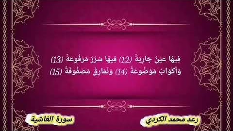 سورة الغاشية رعد محمد الكردي