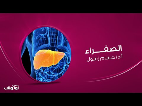 الصفراء - وظائف الكبد -   أ.د/ حسام زغلول || معامل أوتولاب للتحاليل الطبية
