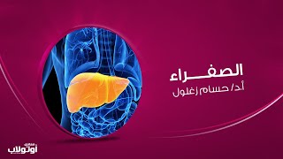 الصفراء - وظائف الكبد -   أ.د/ حسام زغلول || معامل أوتولاب للتحاليل الطبية