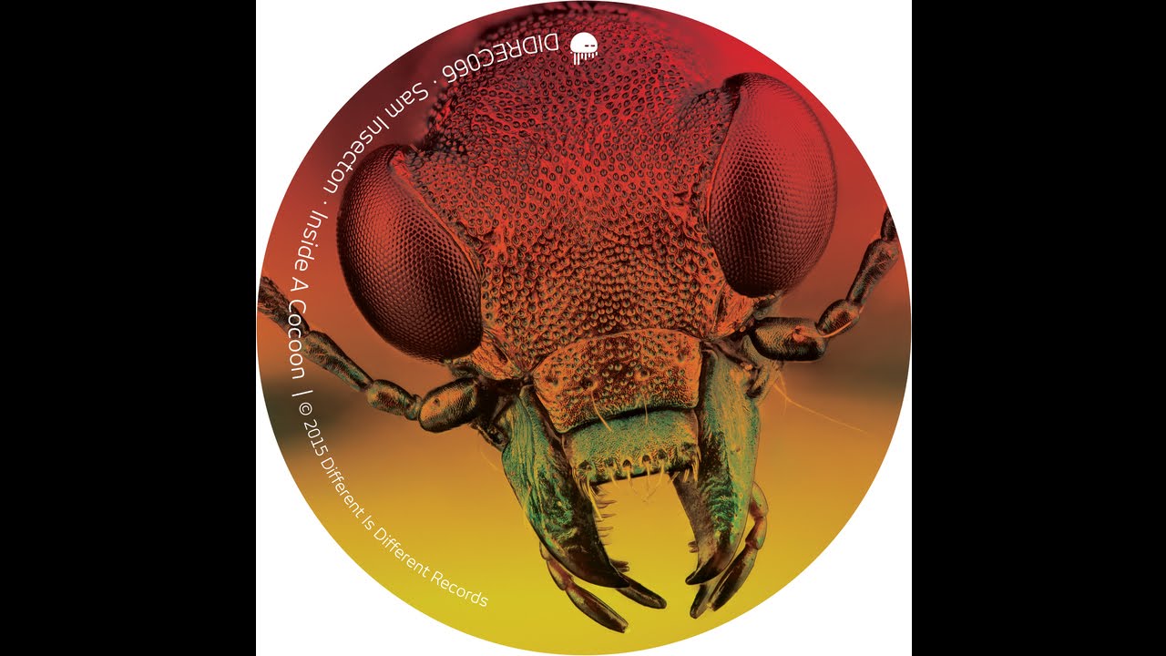 Watch Sam Insecton - Cockroach (Original Mix) on YouTube Watch Sam Insecton - Cockroach (Original Mix) on YouTube