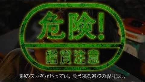 映画『ミュージアム』母の痛みを知りましょうの刑【HD】2016年11月12日（土）公開