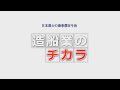 日本最大の海事都市今治「造船業のチカラ」