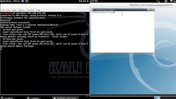 Metasploitable 2 - Port 5900: VNC