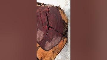 GL cây trắc dây krôngpa đặc tịt 23kg kt trong vd bác nào vào vc lh 0338918991 thương gỗ quý.vn