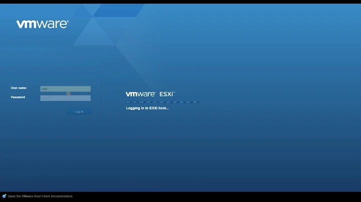 VMware vSphere ESXi 6 7 Nic Teaming