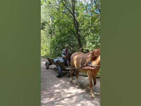 Такси Мирного (Республика Саха)
