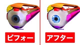 あなたの視力を改善する１０のエクササイズ