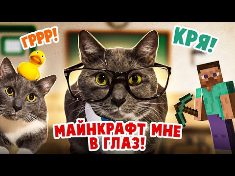 Видео: ЕСЛИ БЫ КОТИКИ ХОДИЛИ В ШКОЛУ - УРОК МАЙНКРАФТА, ШАРИКИ