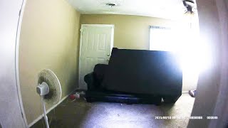 Evictions Caught on Tape: A Doggone Shame