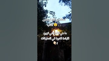 لحظة من القرآن تمس القلب 😴♥️ #اكسبلور #القرآن_الكريم #آيات_الرحمة #الرحمن #تلاوة #لايك #سكينة