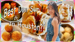 Best Dim Sum in Houston? Ocean Palace Dim Sum & Seafood Restaurant~ It it worth 2hr wait time?