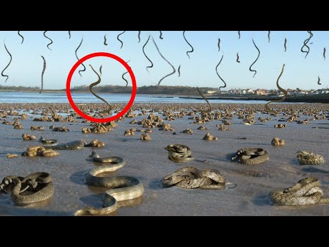 10 unbelievable natural phenomena in the world