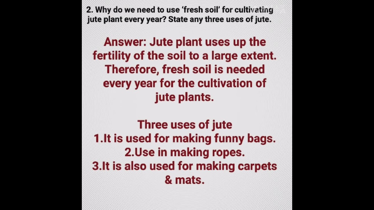 Fabric from Fibre// Class-6 DAV PUBLIC SCHOOL//CHAPTER-14/ QUESTIONS AND ANSWERS