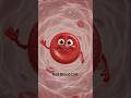 Red Blood Cell - RBC #shortsfeed #facts #knowledge #science #animation