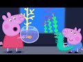 Peppa Pig Official Channel | End of the Holiday