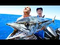 MONSTER MACKEREL CATCH AND COOK | Fish Science To Encourage Sustainable Fishing - Ep 259