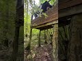 Нашли заброшенный домик на дереве в лесу