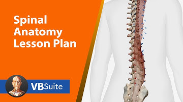 Multi-Modal and Multi-Device Teaching with Visible Body: A Spinal Anatomy Lesson Plan