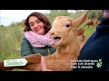 Destino Andalucía | La cabra malagueña, una guía peculiar