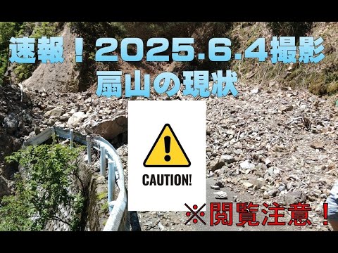 ■閲覧注意■扇山の現状