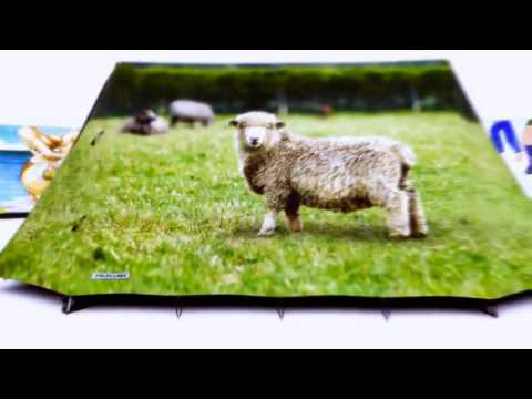 FieldCandy Designer Tents from Campingworld.co.uk