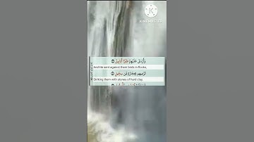 105 - surah al Fil  |  سورة الفيل