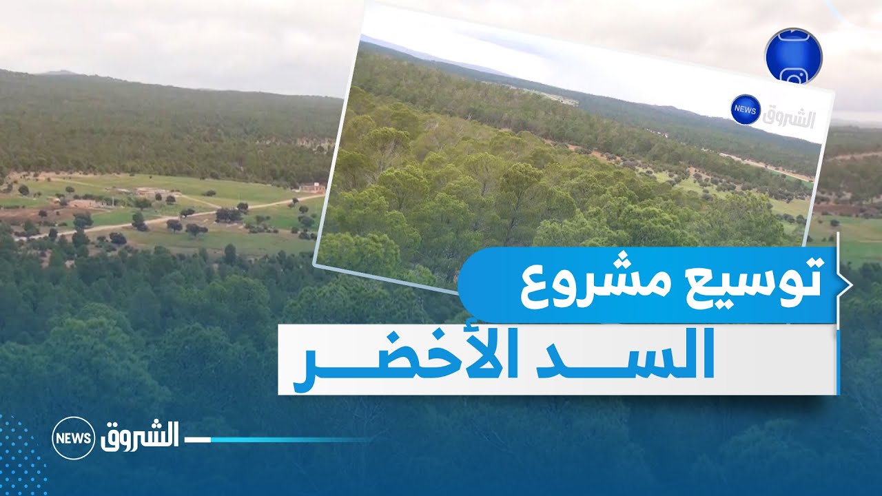 الانطلاق في مشروع السد الأخضر بغرس مليون هكتار