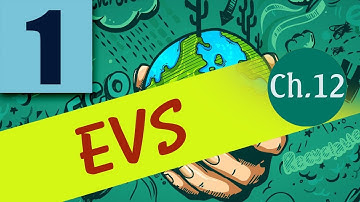 class 1 evs chapter no 12 rules for safety notebook question and answers 18th december 2020