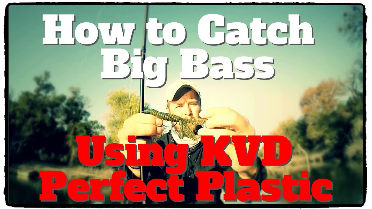 How to Catch Big Bass Using KVD Perfect Plastics - Bass Fishing Tips and  Techniques 