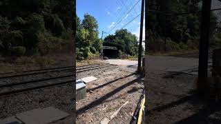 Watch the SEPTA train go by next to the Wissahickon Brewing Company