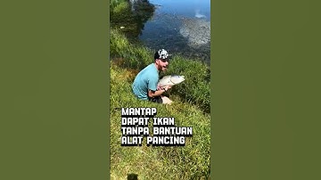 Menangkap Ikan Sebesar Ini Hanya Menggunakan Tangan Kosong #fishing #mancing #trending #shorts