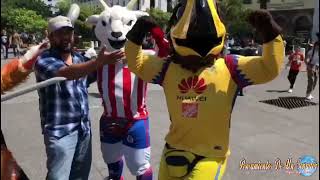 Con Los Personajes De La Liga Mexicana y el gato con botas