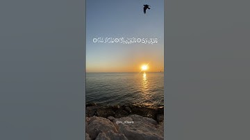 سورة المرسلات للقارئ عثمان الحداد   #اكسبلور #تلاوة_خاشعة #راحة_نفسية #قرآن_كريم