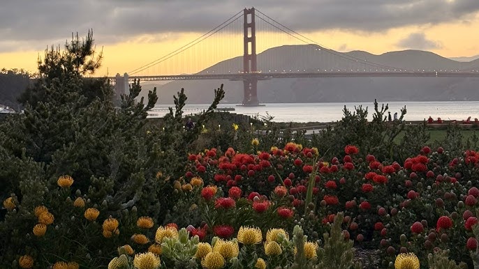 Presidio Park