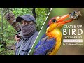 Creating DETAILED Bird Photography – The World’s MOST COLOURFUL Kingfisher | Part Of The Flock Ep 2