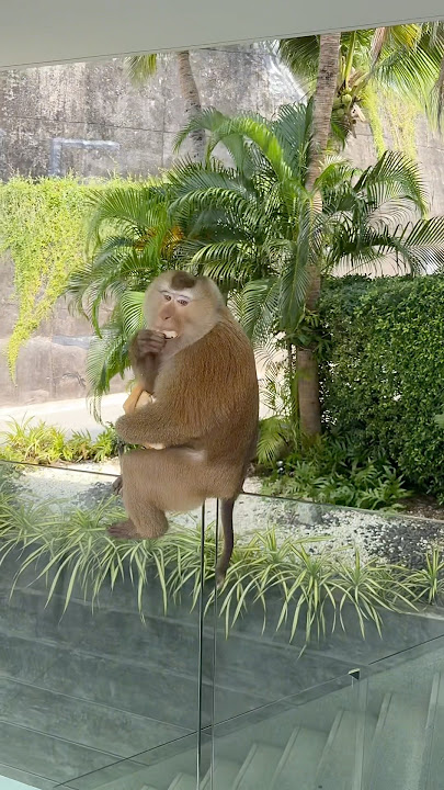 32nd branch #agarkov #32nd branch #uzbekistan #tajikistan #kyrgyzstan #kazakhstan #caucasus #dage...