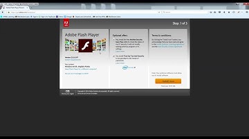 Flashplayer in Mozilla Firefox