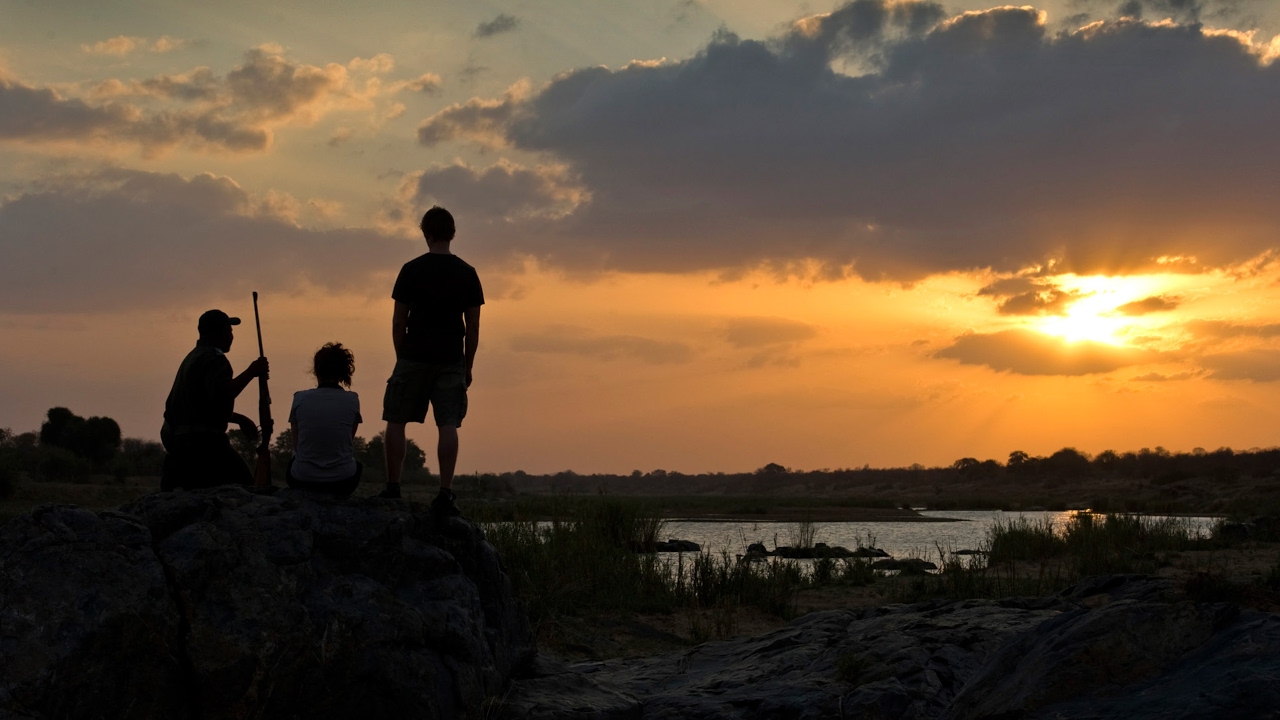 camera iphone 8 plus apk Orpen Cam - Kruger National Park