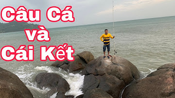 Câu Cá Và Review Bán Đảo Sơn Trà Đà Nẵng