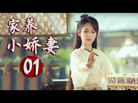 《家养小娇妻》第01集 | 杨紫化身古灵精怪小姑娘与腹黑大少爷成为欢喜冤家