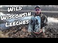 Trapping the best fishing bait leeches