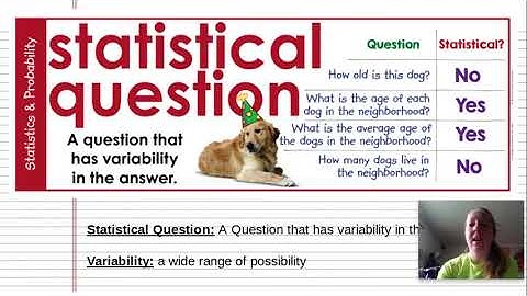 Statistical Questions